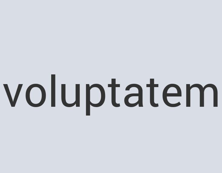 Ergonomic Concrete SonicStock