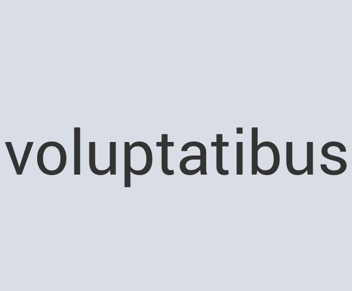 Gorgeous Leather Appy Planet