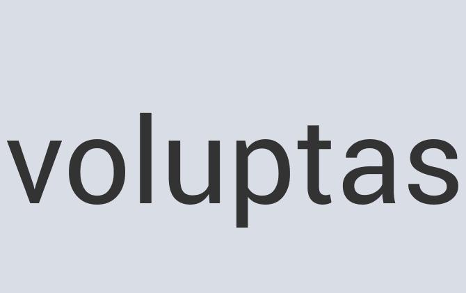 Rustic Marble Plugzapper