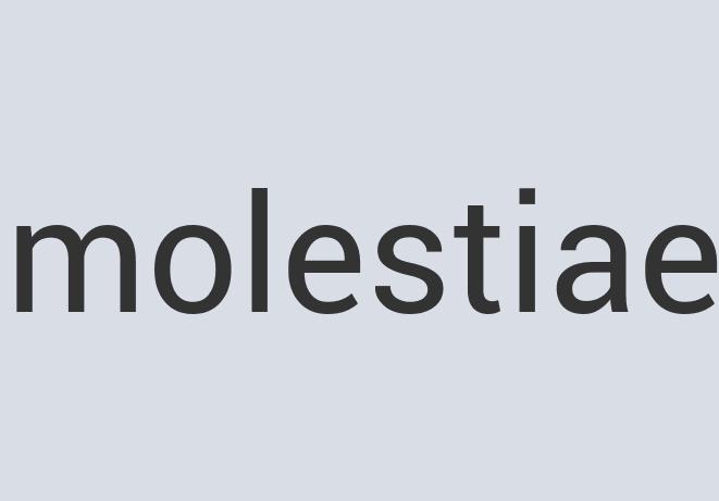 Awesome Leather Ham Licker